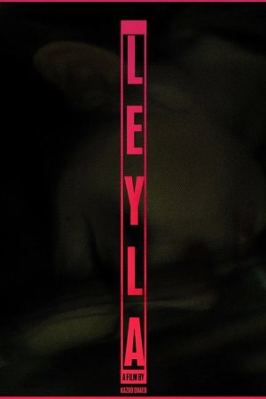 Leyla (2019) poster