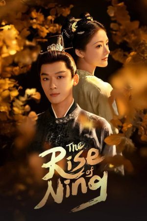 The Rise of Ning (2024) poster