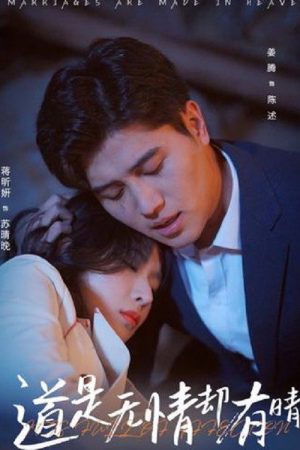 道是无情却有晴 (2025) poster