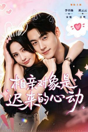 相亲对象是迟来的心动 (2026) poster