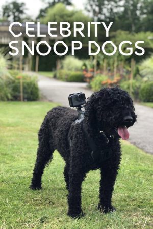 Celebrity Snoop Dogs (2020) poster