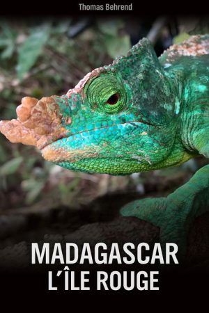 Unbekanntes Madagaskar (2020) poster