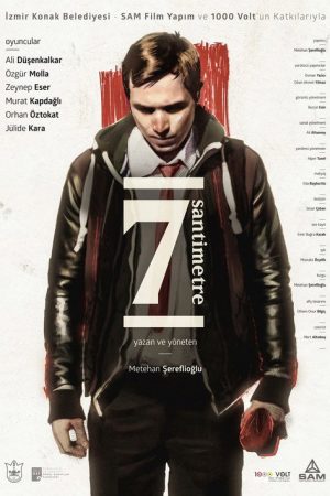 7 Centimeters (2016) poster