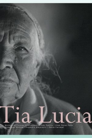 Aunt Lucía (2020) poster