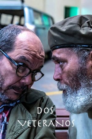 Dos veteranos (2019) poster