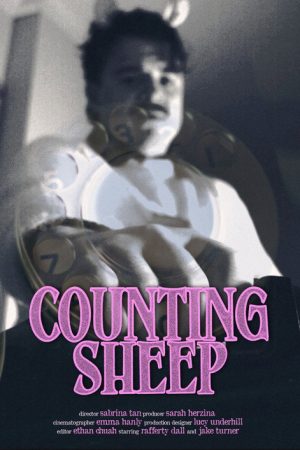 Counting Sheep (2025) poster