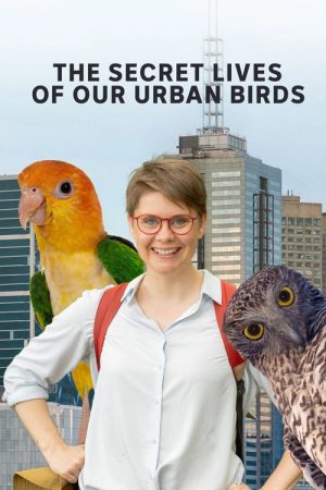 The Secret Lives of Our Urban Birds (2023) poster