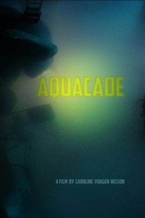 Aquacade (2017) poster