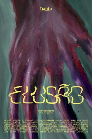 Elusion (2022) poster