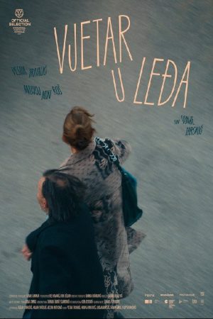 Wind Beneath the Wings (2026) poster