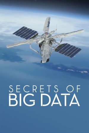 Secrets of Big Data (2022) poster