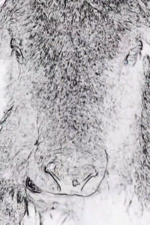 Écriture (2019) poster
