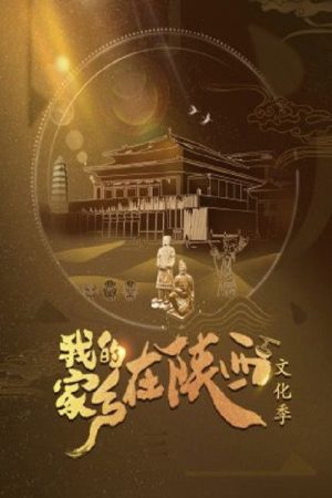 我的家乡在陕西 (2019) poster