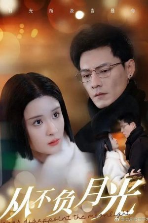 从不负月光 (2025) poster