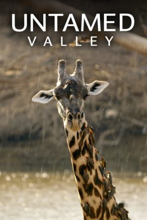 Untamed Valley (2017) poster