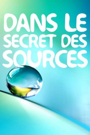 Dans le Secret des Sources (2017) poster