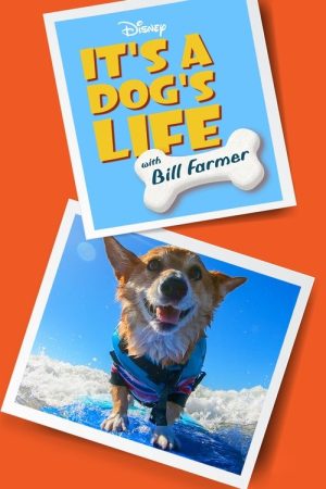 It’s a Dog’s Life with Bill Farmer (2020) poster
