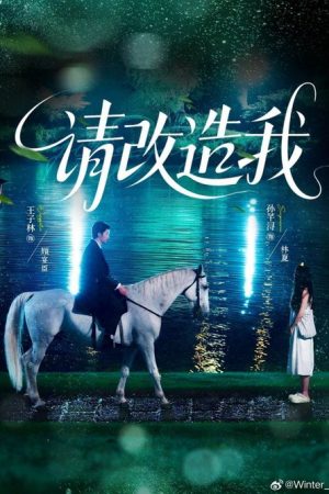 请改造我 (2025) poster
