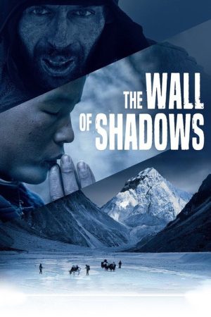 The Wall of Shadows (2021) poster