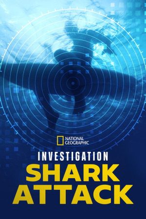 Investigation Shark Attack (2025) poster