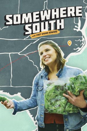 Somewhere South (2020) poster