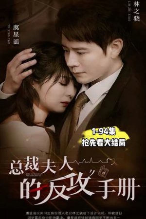 总裁夫人的反攻手册 (2023) poster