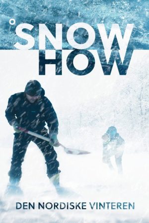 Snowhow (2020) poster