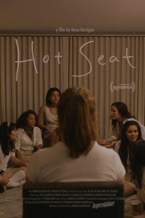 Hot Seat (2017) poster