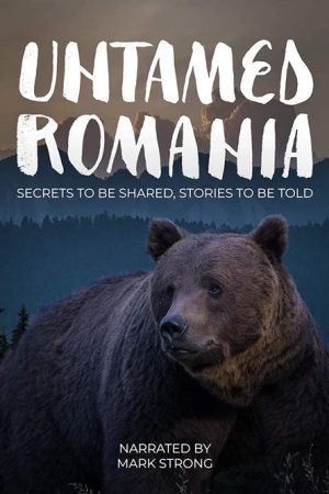 Untamed Romania (2018) poster
