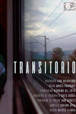 Transitory (2019) poster