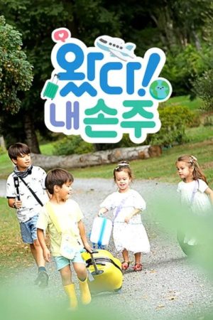 왔다! 내 손주 (2023) poster