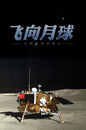 飞向月球 (2019) poster