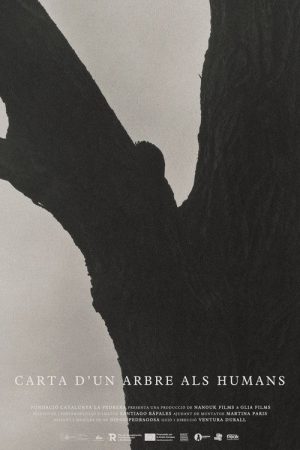 Carta d’un arbre als humans (2026) poster