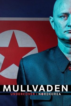 The Mole – Infiltrating North Korea (2020) poster