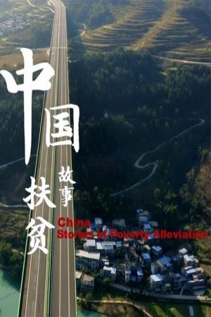 中国扶贫故事 (2020) poster