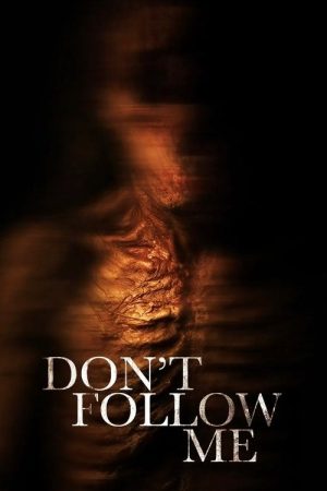 No Me Sigas (2025) poster