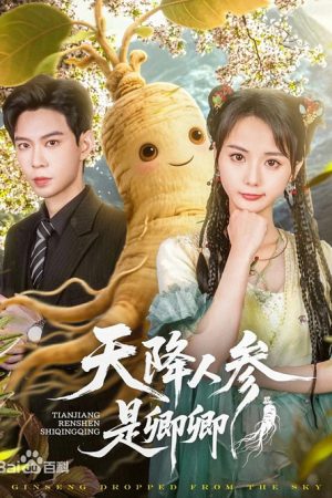 天降人参是卿卿 (2025) poster