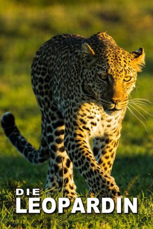 The Leopardess (2021) poster