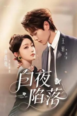 白夜陷落 (2025) poster