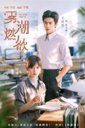 雾潮燃欲 (2026) poster