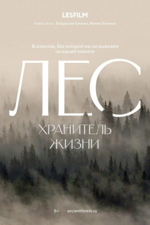 The Forest (2026) poster