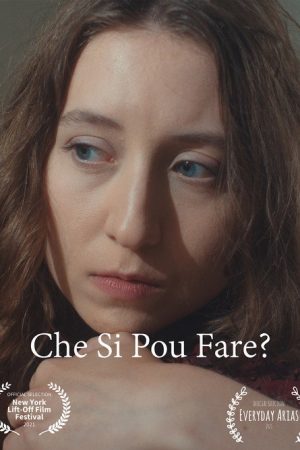 Che Si Può Fare? (2021) poster