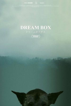 Dream Box (2017) poster