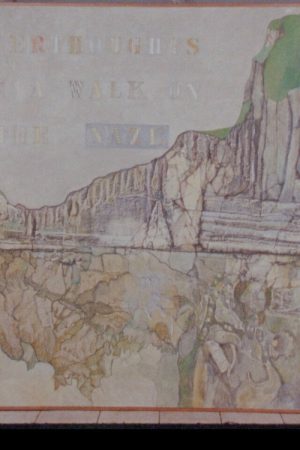 Afterthoughts of a Walk on the Naze (2024) poster