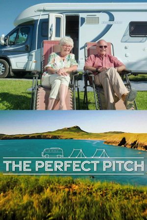 The Perfect Pitch (2021) poster