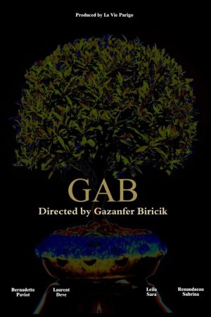 Gab (2018) poster