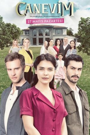 Canevim (2019) poster