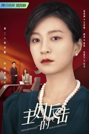 Housewife’s Counterattack (2023) poster