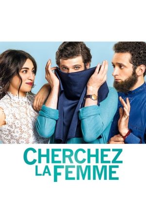 Some Like It Veiled (2017) poster