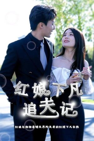 红娘下凡追夫记 (2023) poster